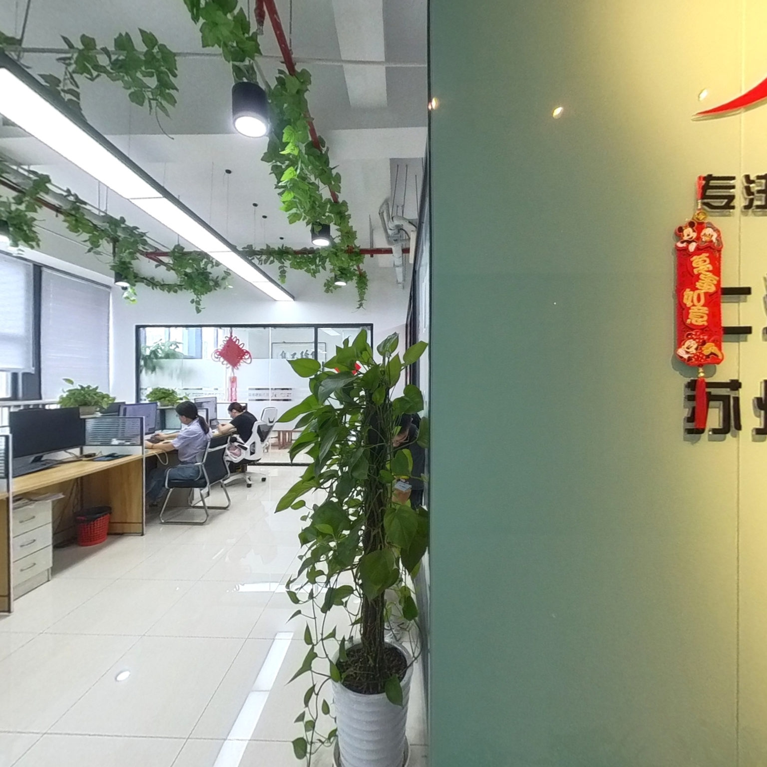 苏州精颜新材料有限公司